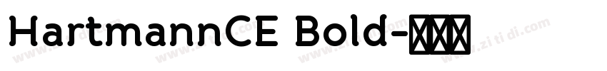 HartmannCE Bold字体转换
